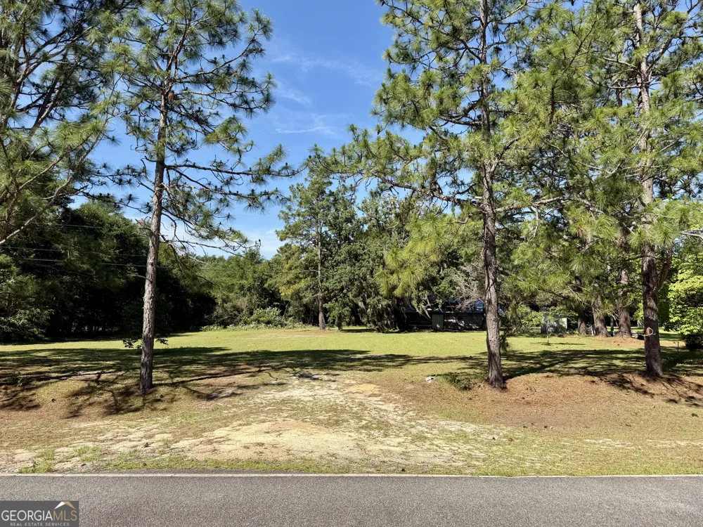 170 Lovely Grove Church RD Eastman, GA 31023