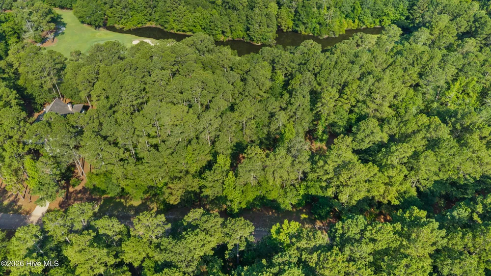 230 River Woods Drive Wallace, NC 28466