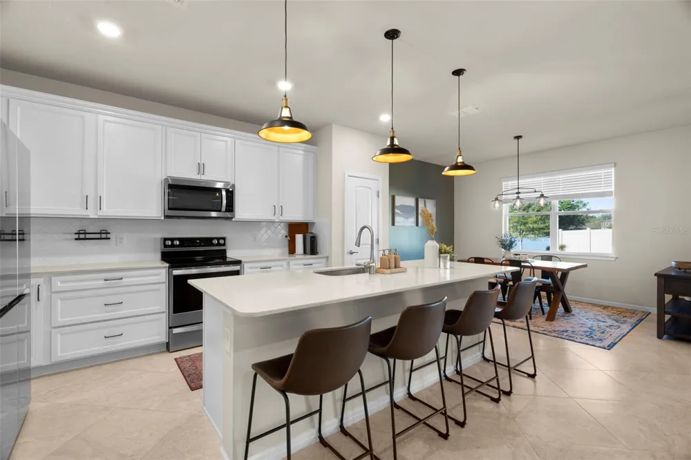 21051 MONZA LOOP Land O Lakes, FL 34638