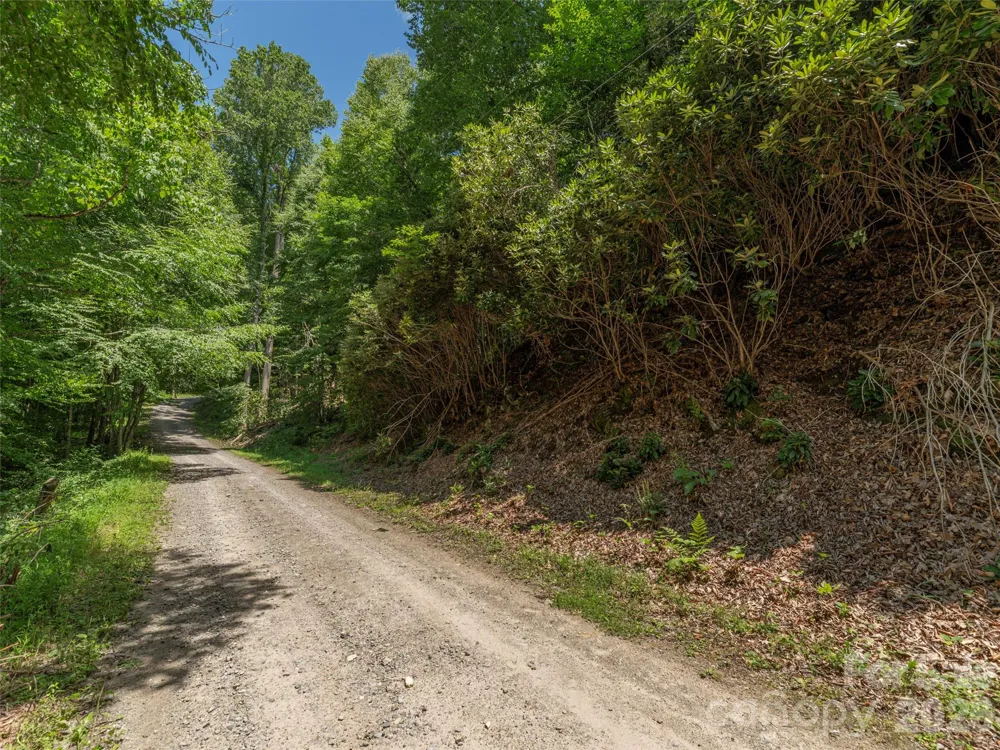 00 Rough Knob Road Clyde, NC 28721