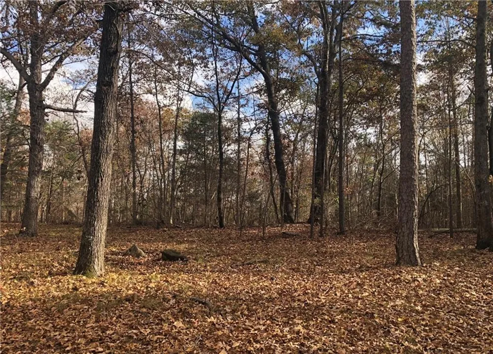 209 Alice Moss Lane Alto, GA 30510