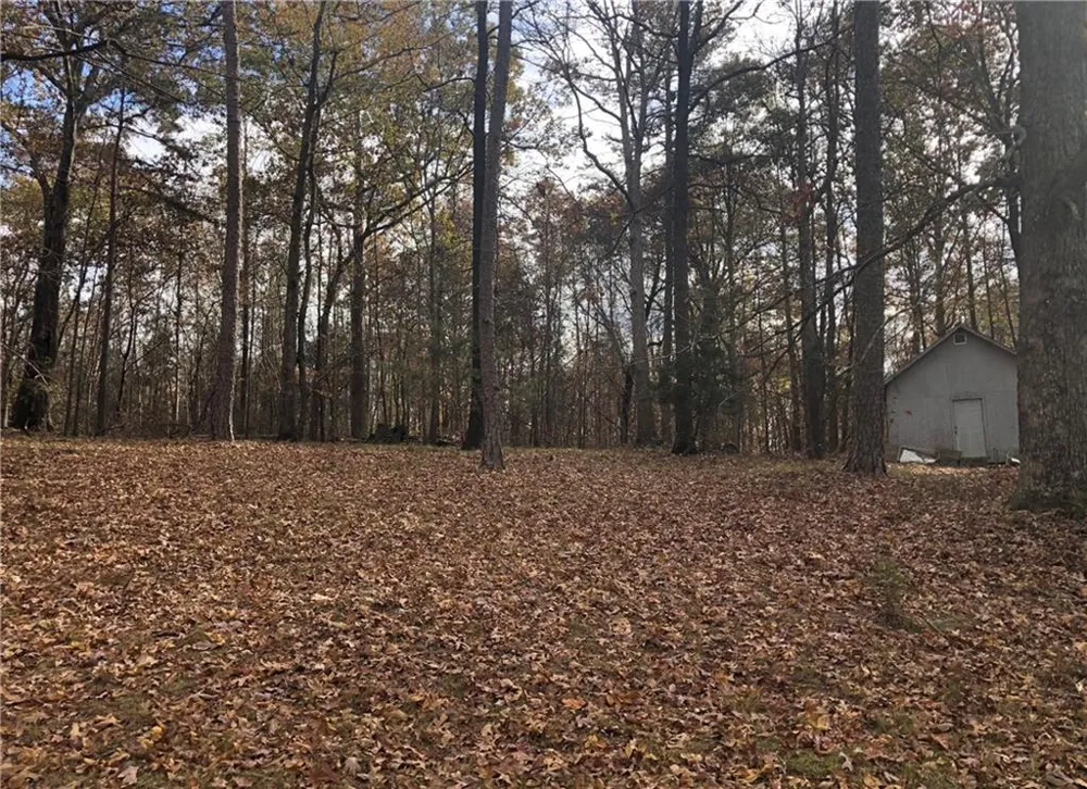 209 Alice Moss Lane Alto, GA 30510