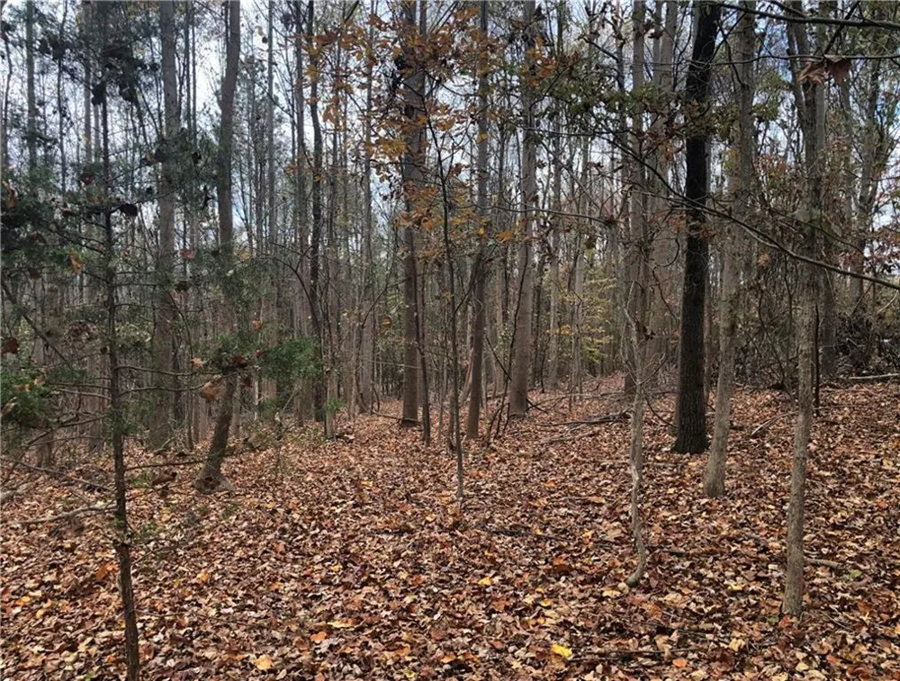 209 Alice Moss Lane Alto, GA 30510