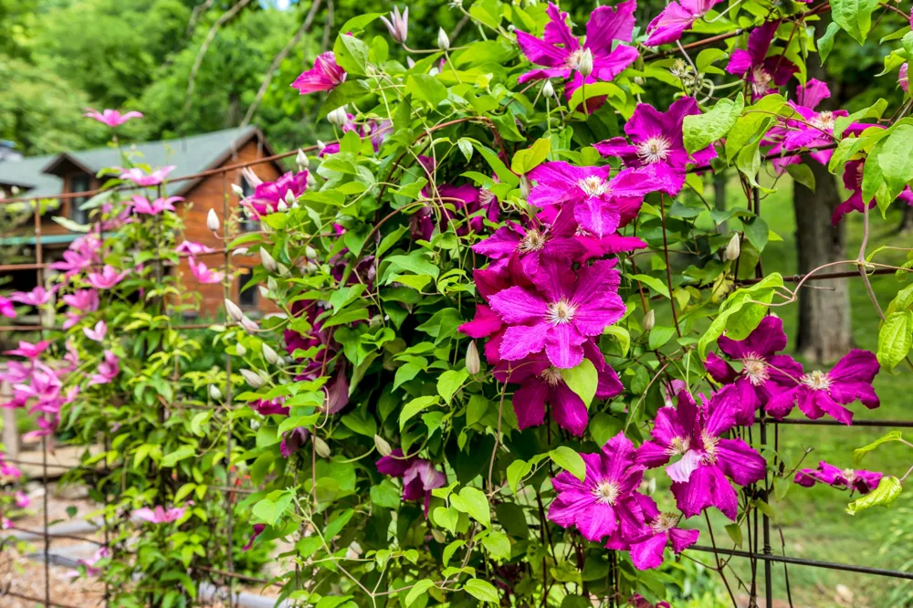 28 Bussell Ln Gordonsville, TN 38563