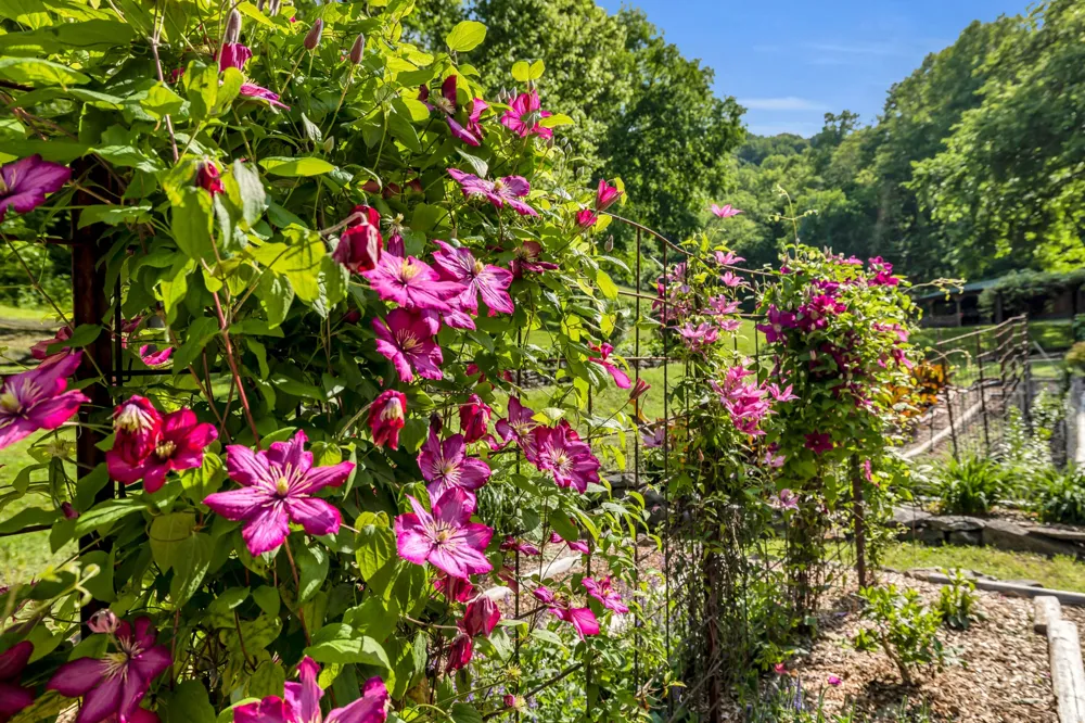 28 Bussell Ln Gordonsville, TN 38563