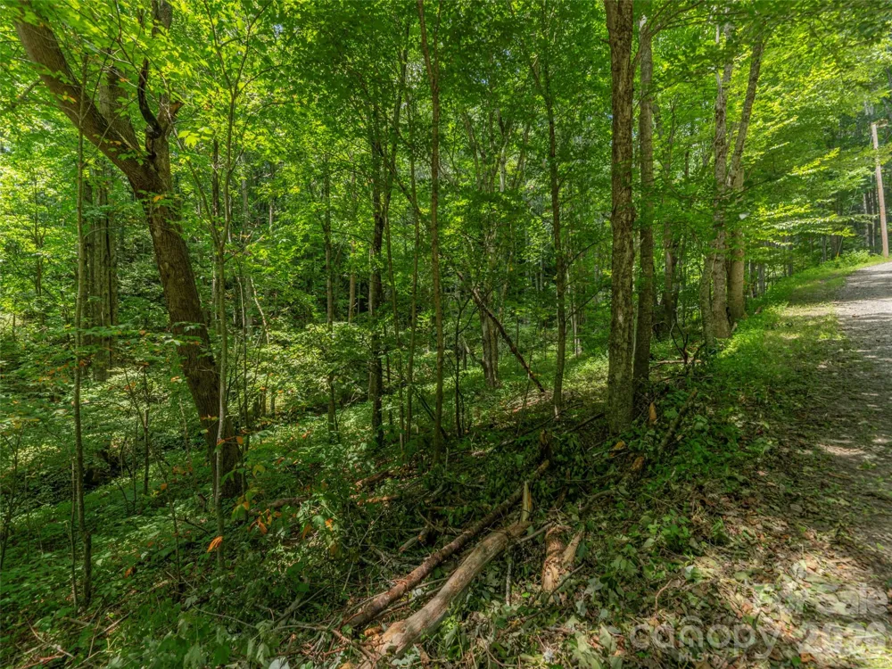 000 Rough Knob Road Clyde, NC 28721