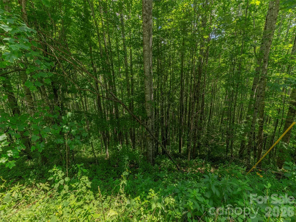 000 Rough Knob Road Clyde, NC 28721