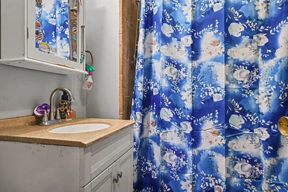 13371 S Van Kal Street Prairie Ronde Township, MI 49087