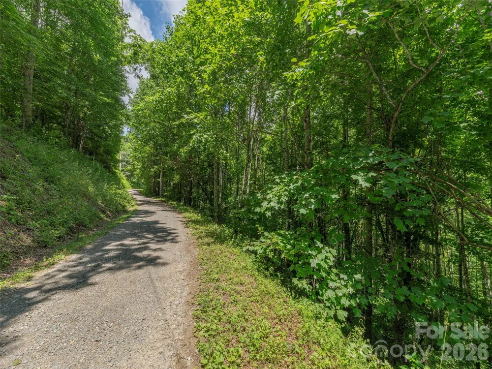 0000 Rough Knob Road Clyde, NC 28721