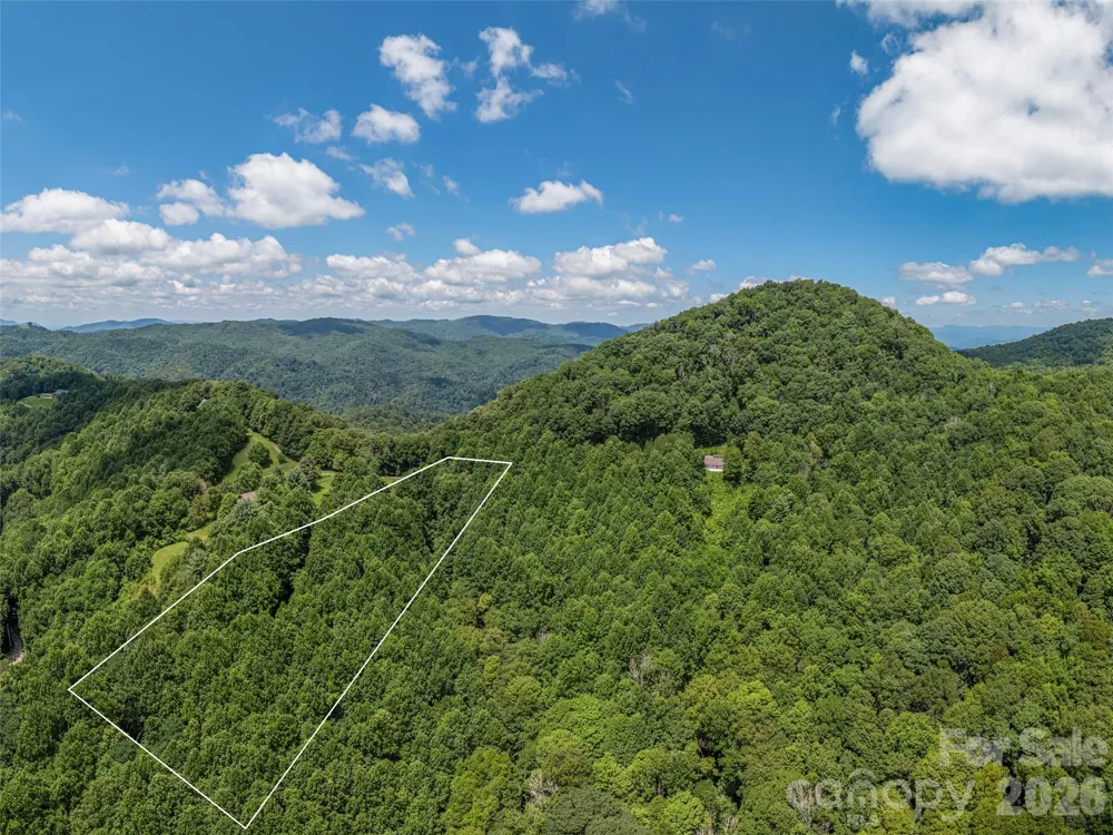 0000 Rough Knob Road Clyde, NC 28721