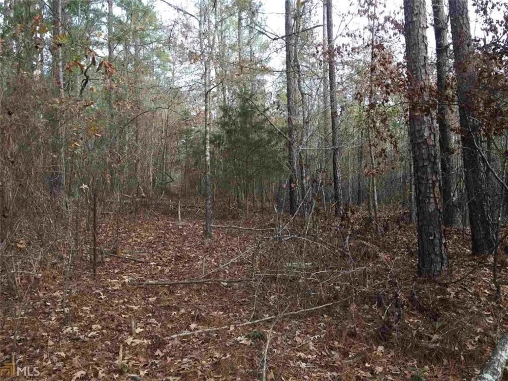393 Stallsworth Road McDonough, GA 30252