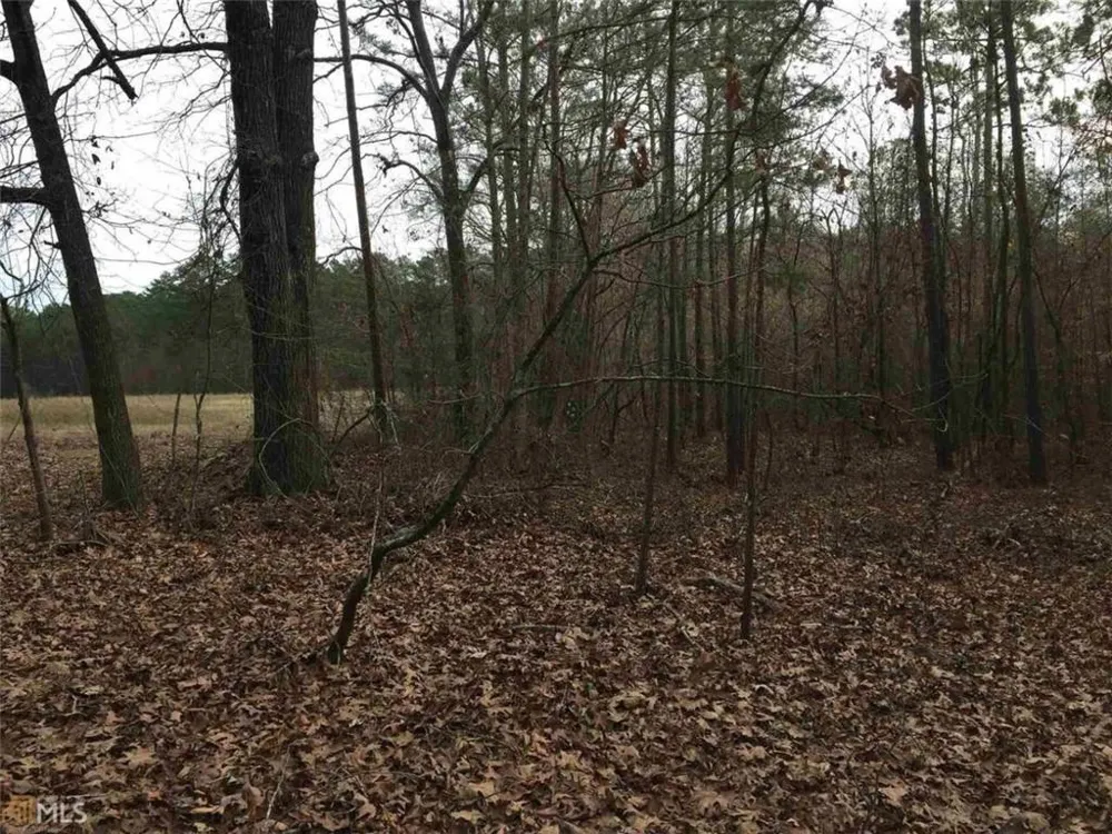 393 Stallsworth Road McDonough, GA 30252