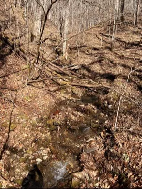 Unahala Creek Rd Bryson City, NC 28713