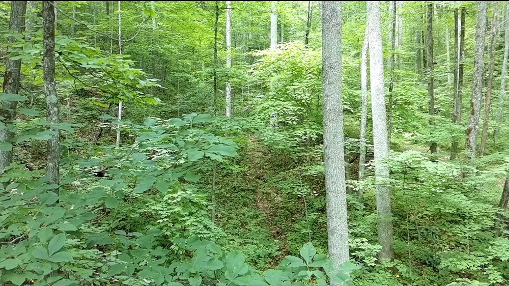 Unahala Creek Rd Bryson City, NC 28713