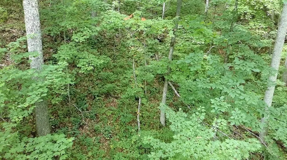 Unahala Creek Rd Bryson City, NC 28713