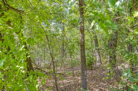 1125 Crazy Horse Trail