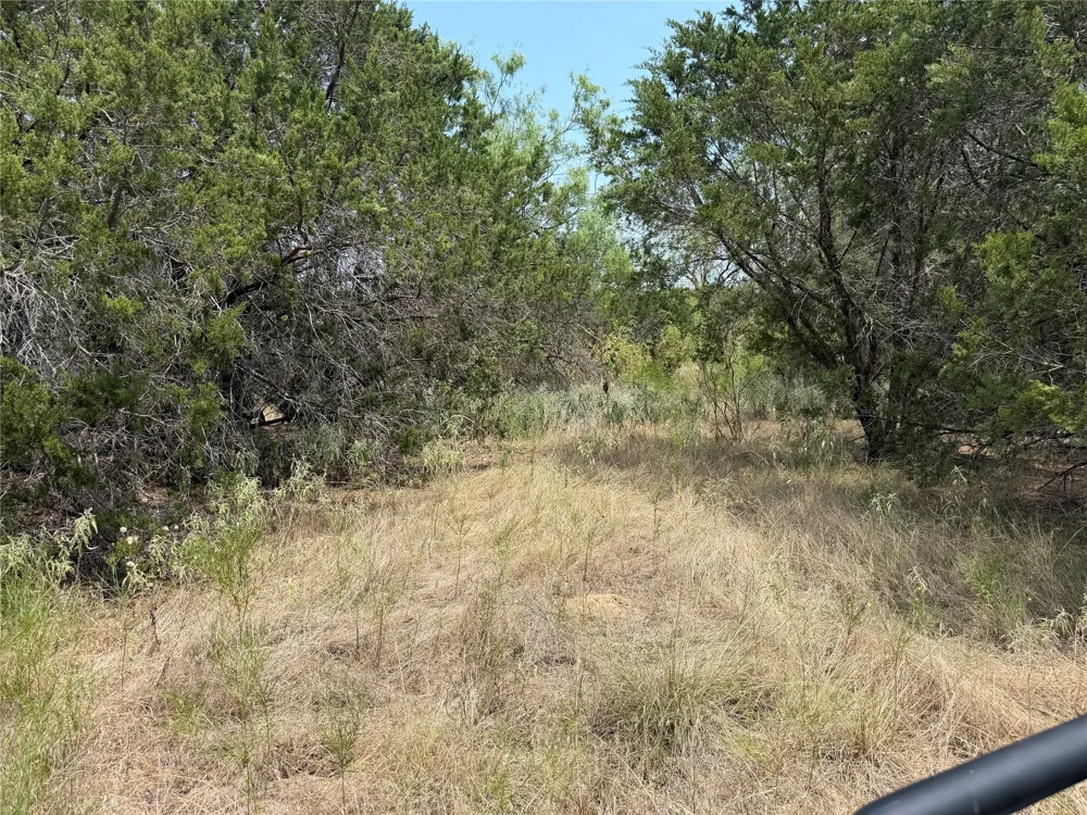 1260 Sparrow Court Graford, TX 76449