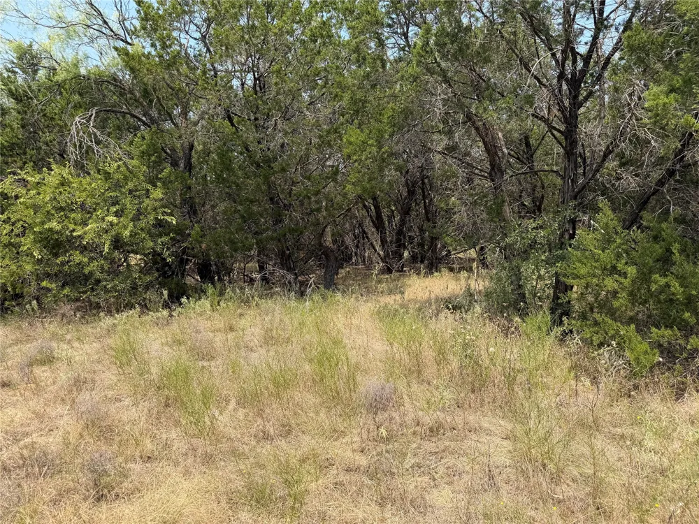 1260 Sparrow Court Graford, TX 76449
