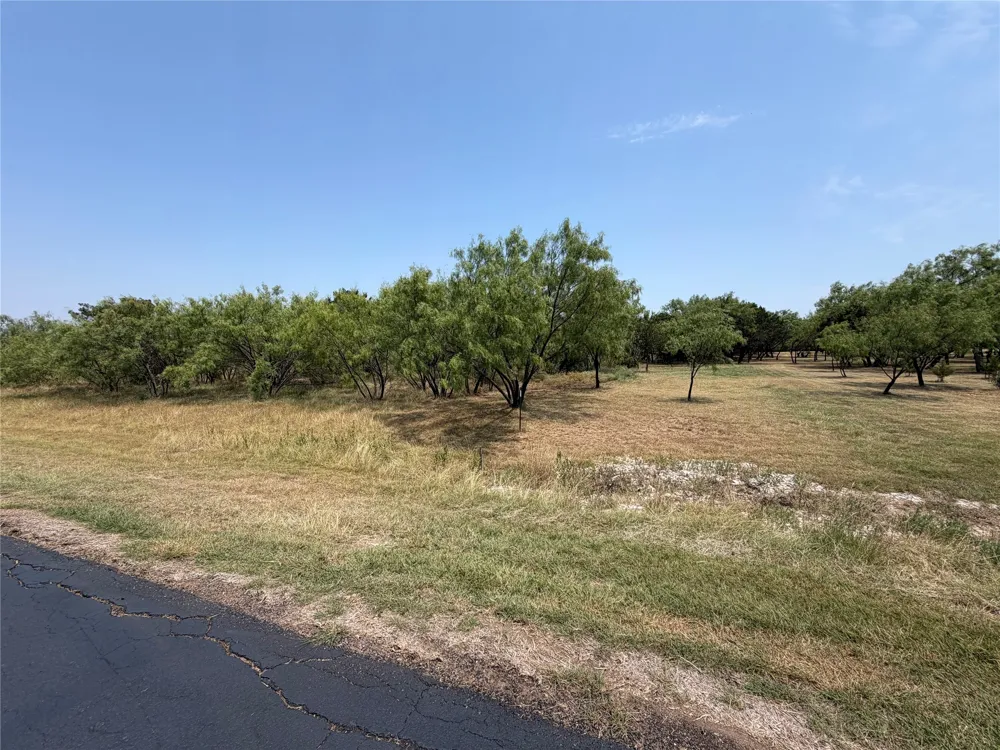 1260 Sparrow Court Graford, TX 76449