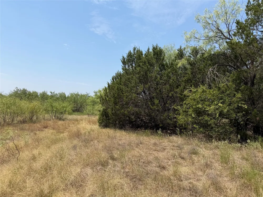 1260 Sparrow Court Graford, TX 76449