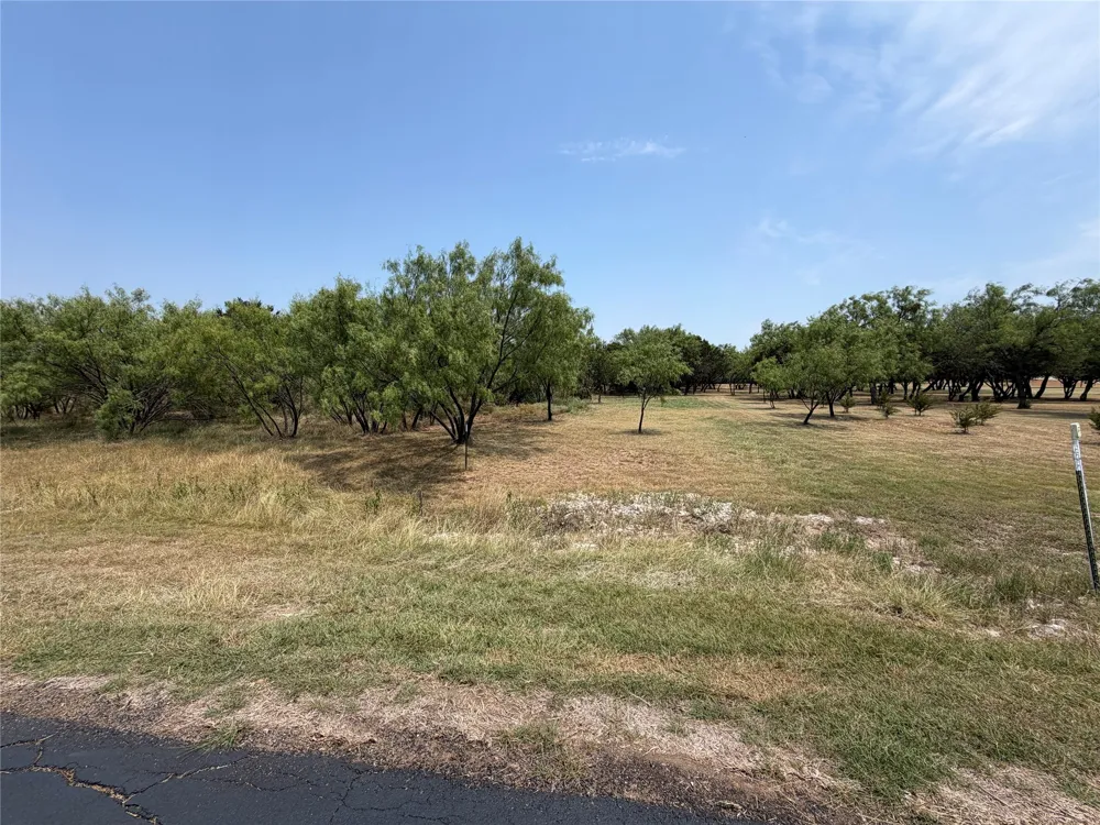 1260 Sparrow Court Graford, TX 76449