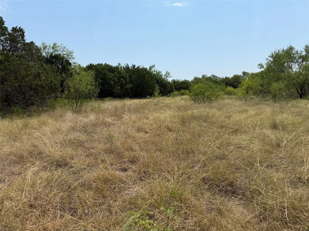 1260 Sparrow Court Graford, TX 76449