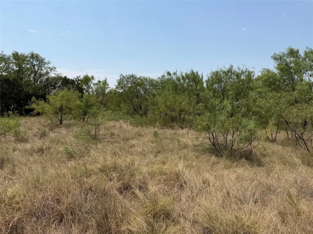 1260 Sparrow Court Graford, TX 76449