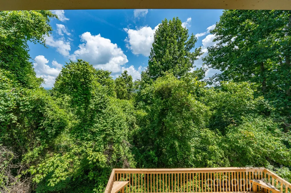 366 Cabin Hollow Drive Marshall, NC 28753