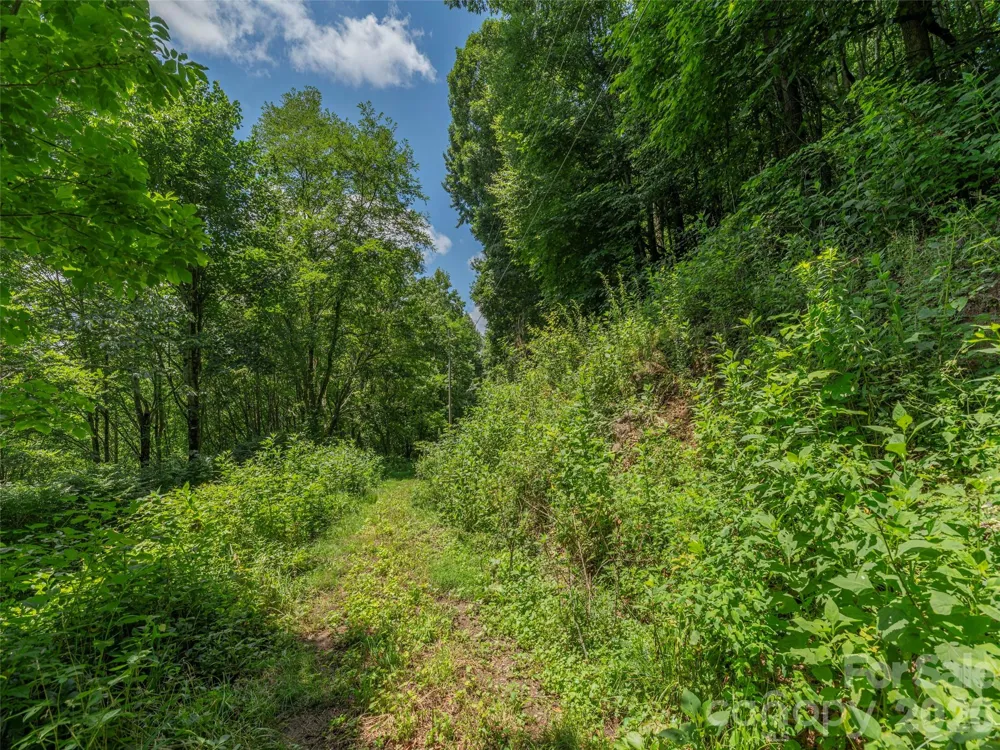 No 911 Address Assigned 0 Hot Springs, NC 28743