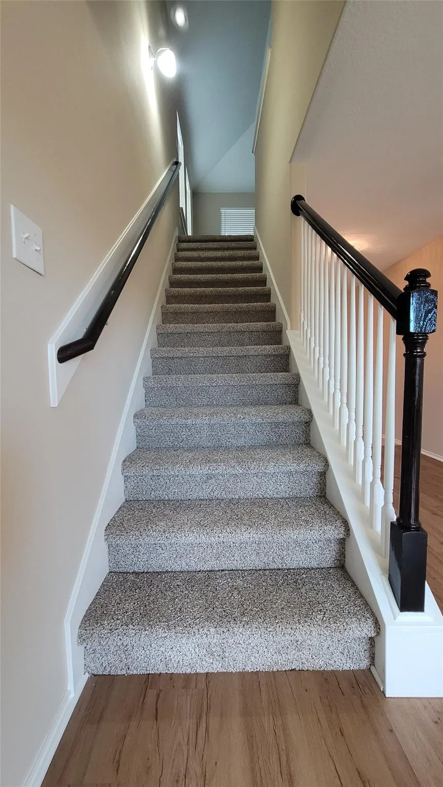 4334 Buras Pass Lane South Houston, TX 77045