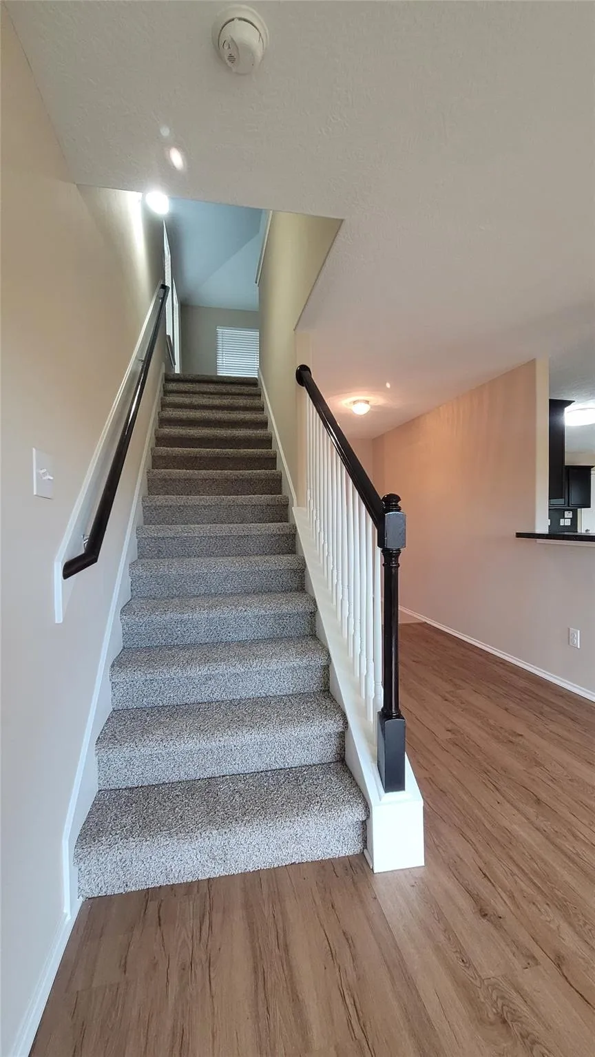 4334 Buras Pass Lane South Houston, TX 77045