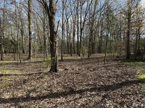 Greenbush Road