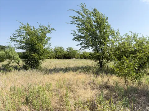 1001 Enchanted Rock Court