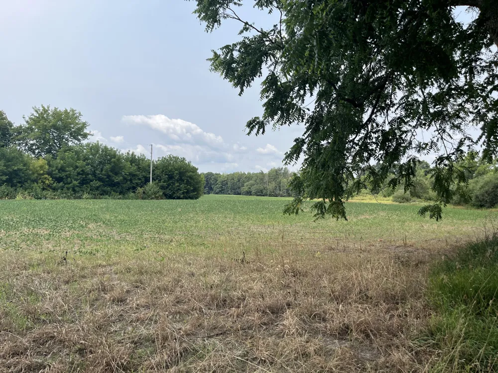 2047 190th Avenue Morley, MI 49336