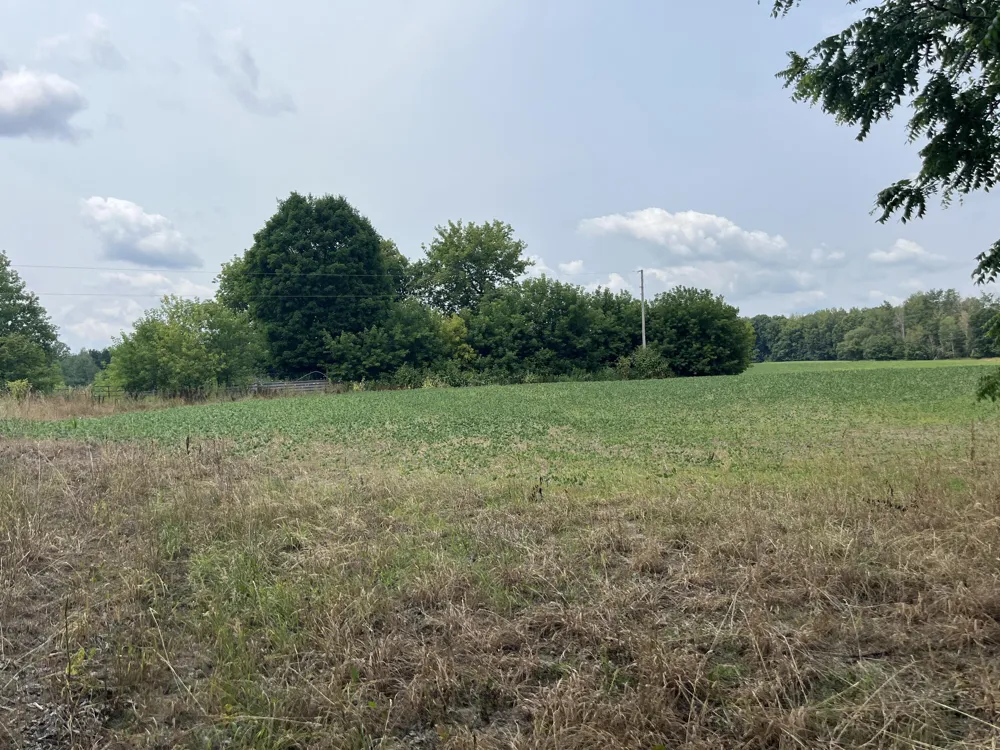 2047 190th Avenue Morley, MI 49336
