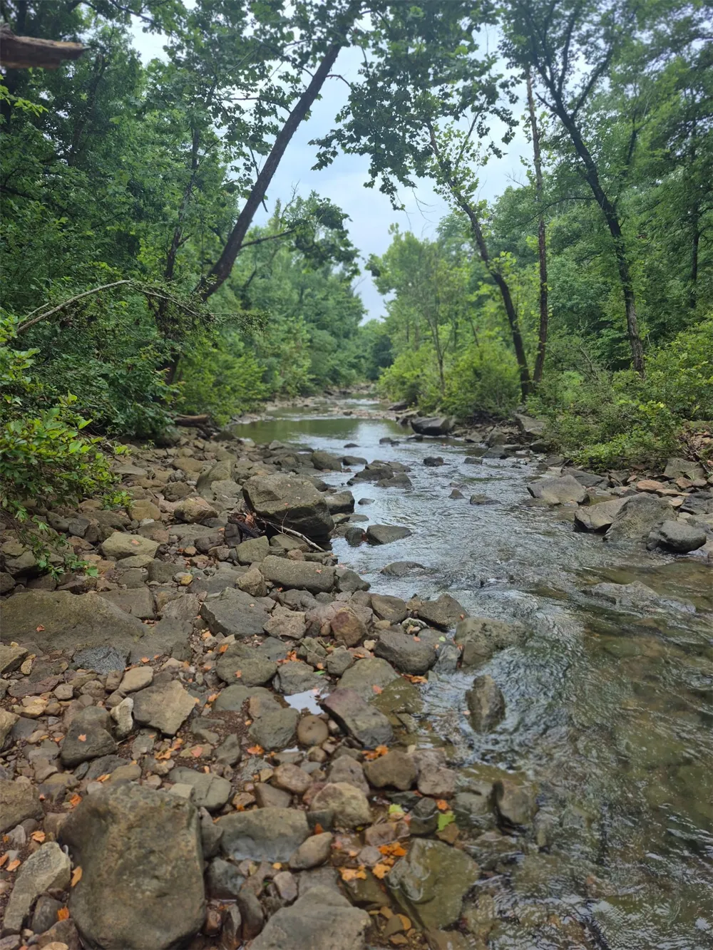 S 4535 ROAD Vian, OK 74962