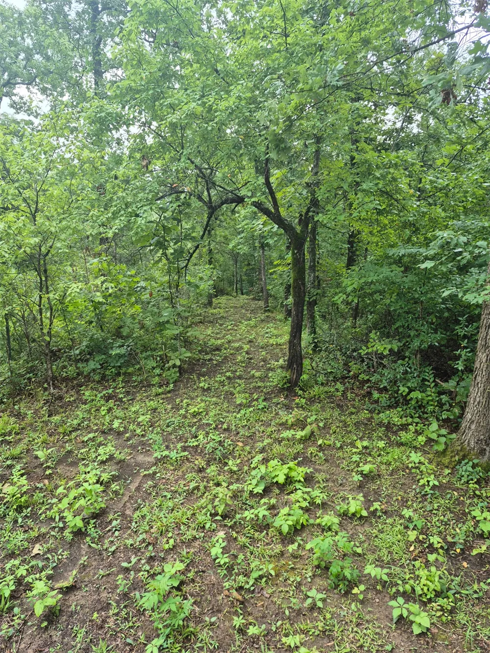 S 4535 ROAD Vian, OK 74962