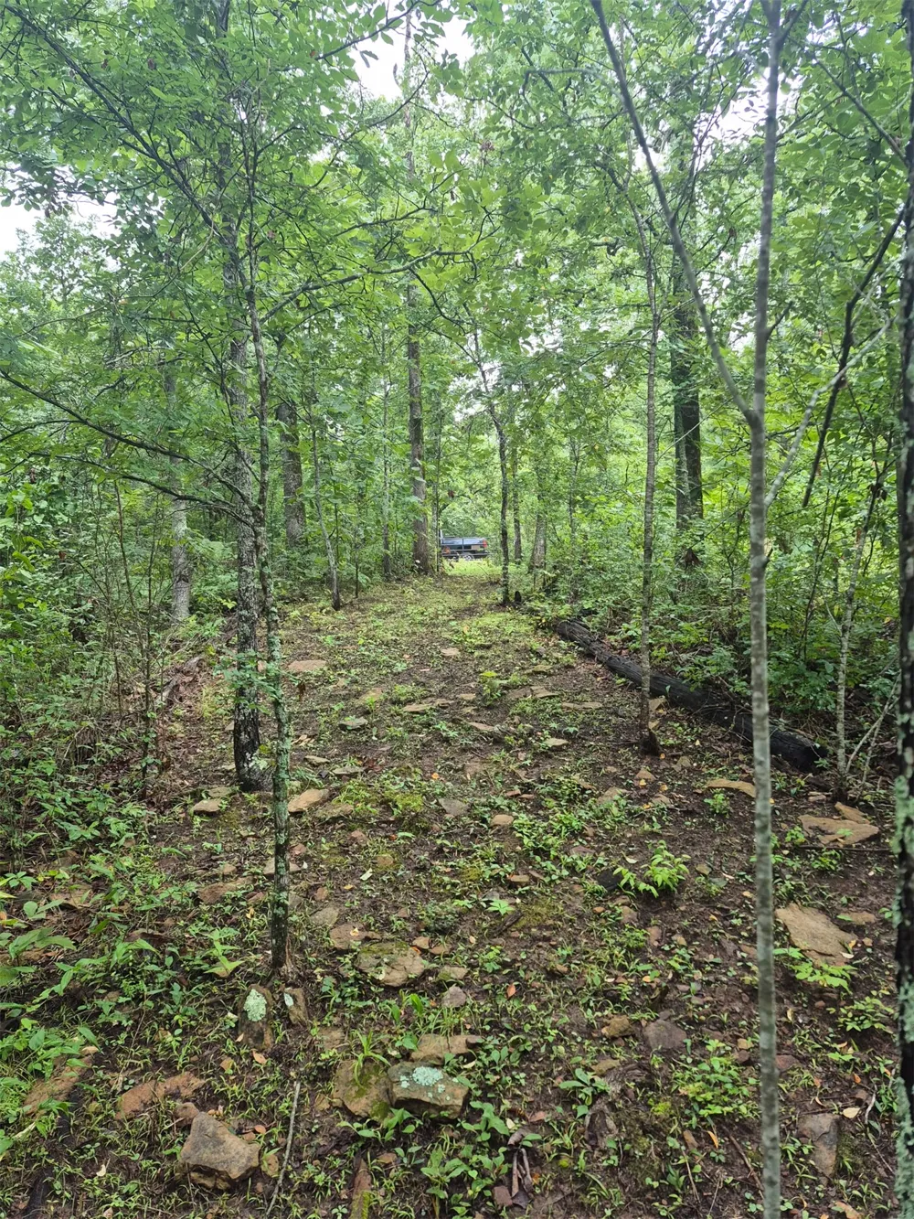 S 4535 ROAD Vian, OK 74962