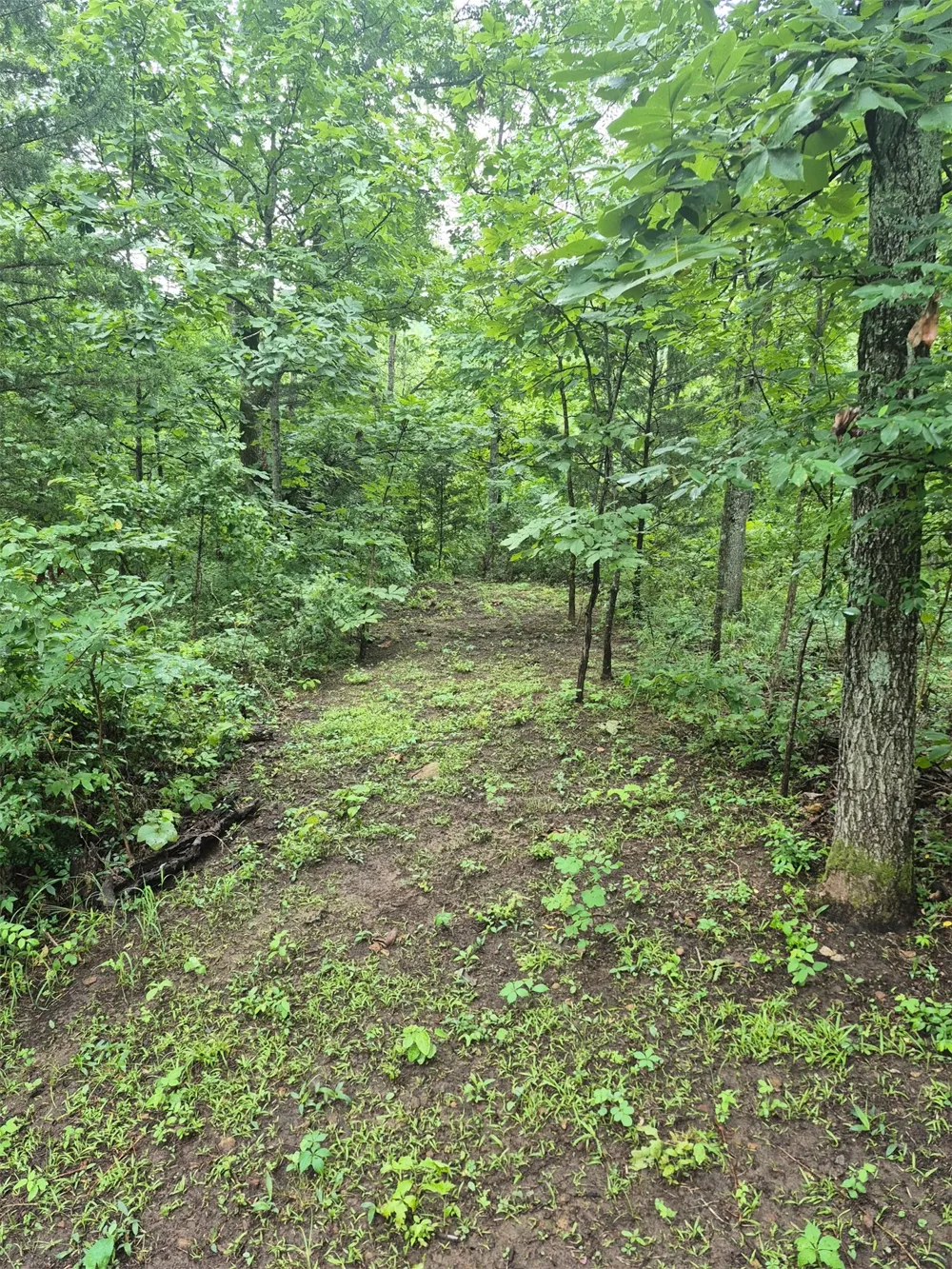 S 4535 ROAD Vian, OK 74962