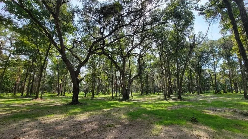 NW 128TH TERRACE #Lot 37 Reddick, FL 32686
