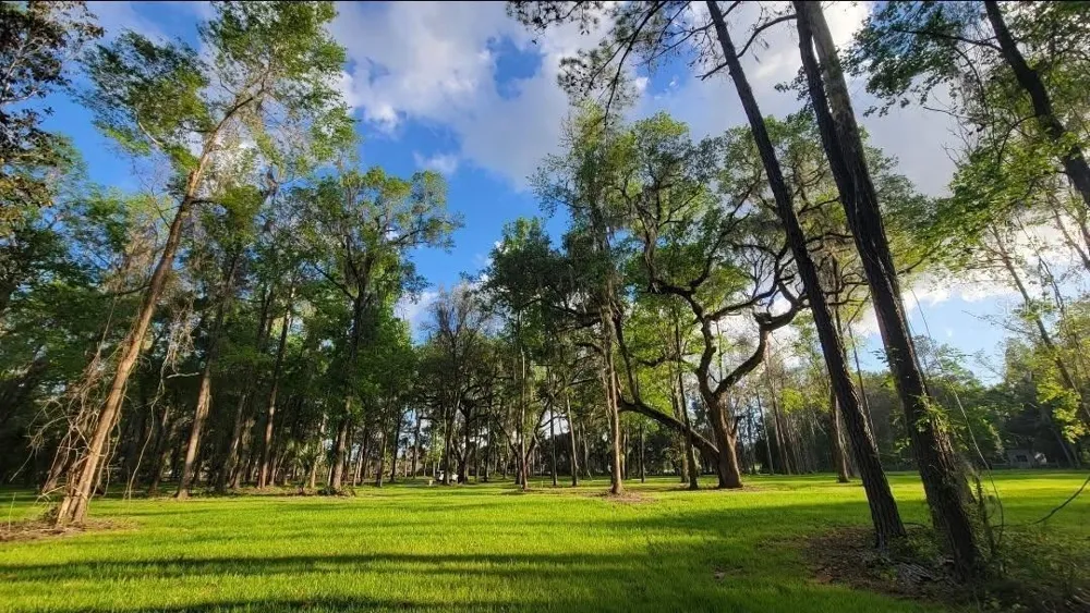 NW 128TH TERRACE #Lot 37 Reddick, FL 32686