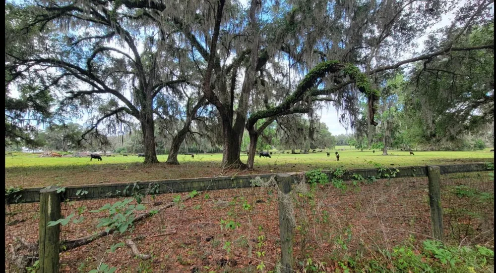 NW 128TH TERRACE #Lot 37 Reddick, FL 32686