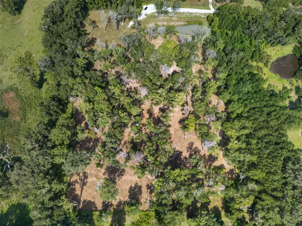 NW 128TH TERRACE #Lot 37 Reddick, FL 32686