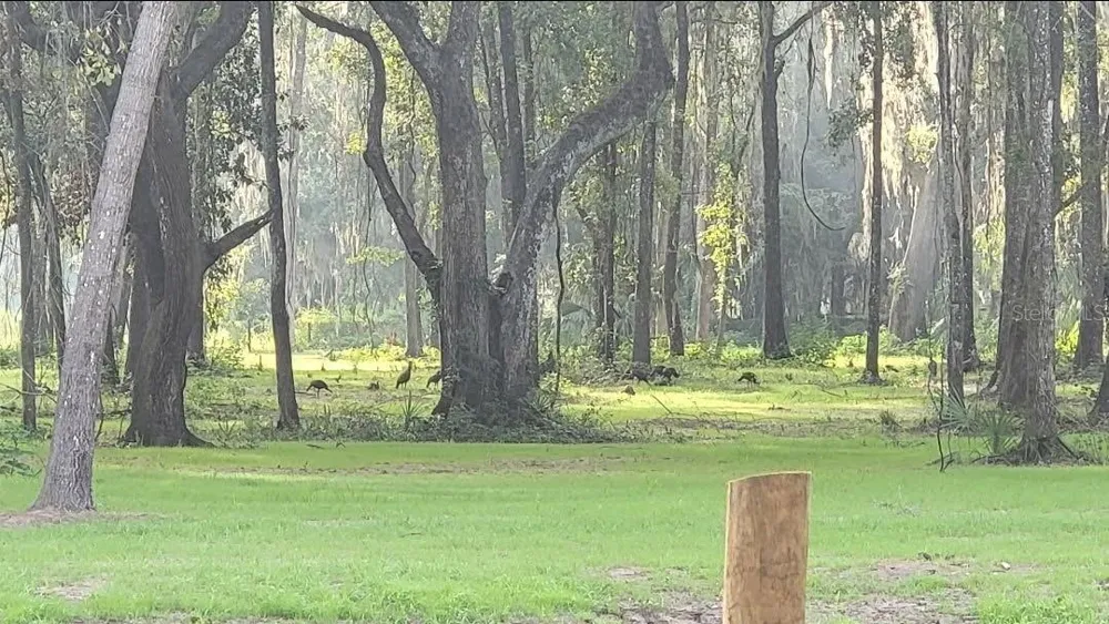 NW 128TH TERRACE #Lot 37 Reddick, FL 32686