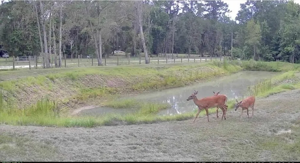 NW 128TH TERRACE #Lot 37 Reddick, FL 32686