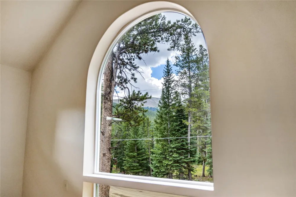 17 Blue Grouse Trail Blue River, CO 80424
