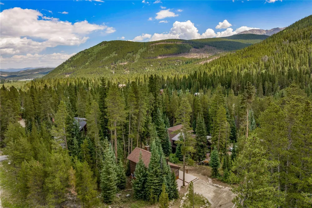 17 Blue Grouse Trail Blue River, CO 80424