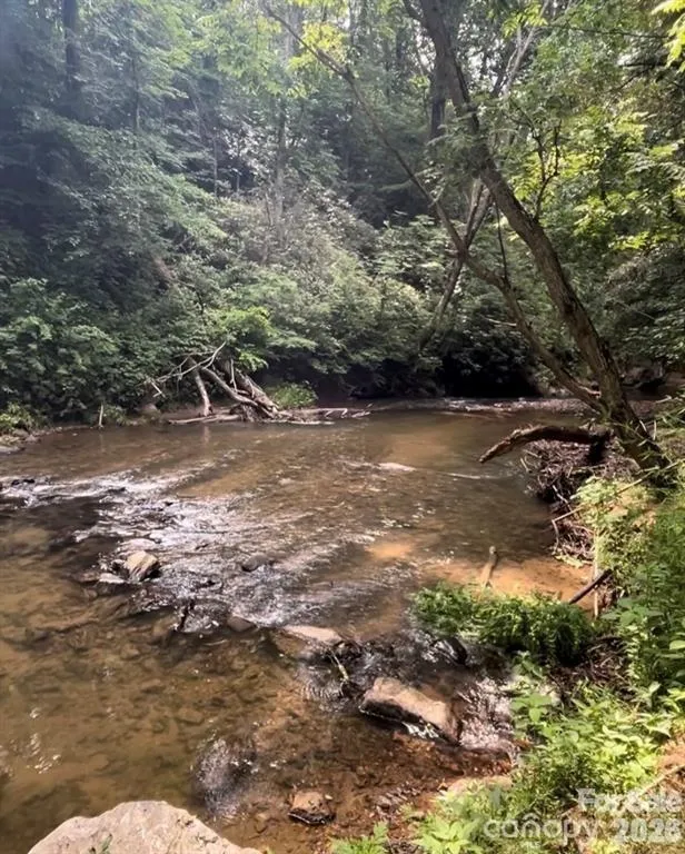 1 Old Mill Lane Weaverville, NC 28787