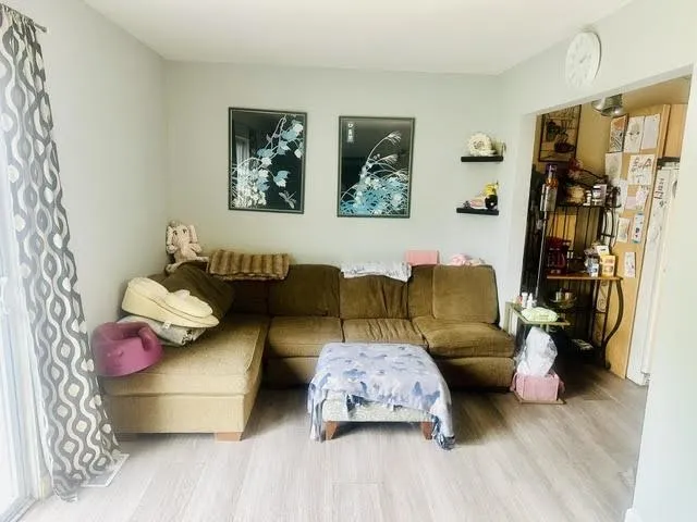 209 N Christine Circle Mt Clemens City, MI 48043