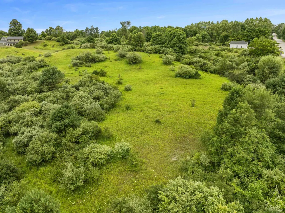 Lake Street Benzonia Township, MI 49616